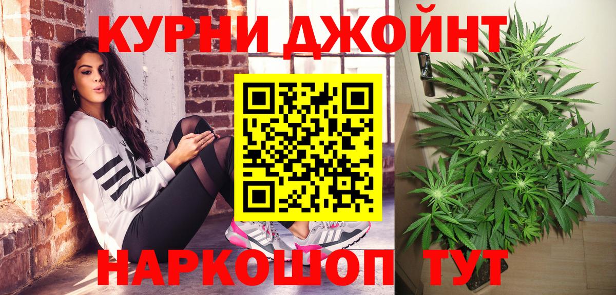 Каннабис конопля Черняховск